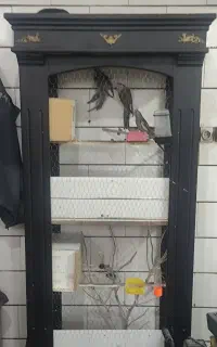 قفس