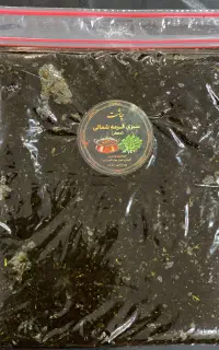 قورمه شمالی