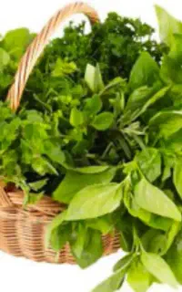 ضایعات سبزی برای دام