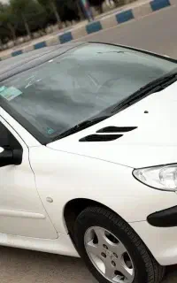۲۰۶پانا