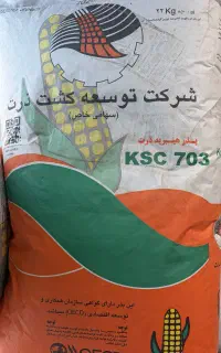 فروش بذر ذرت