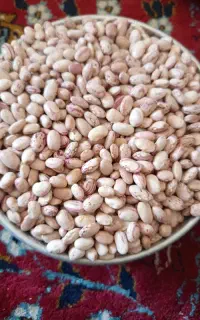 لوبیا تمیز امسال