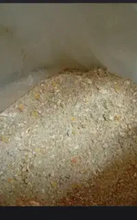 فروش خوراک طیور و دام با با بهترین کیفیت