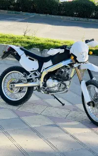 تریل آمیکو ۱۸۶ درحد خشک