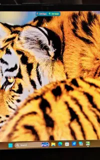 لپ تاپ ایسوس