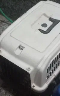 باکس حمل حیوان