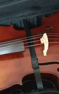 ویولنسل Eastman دست ساز 4/4 با تمام تجهیزات