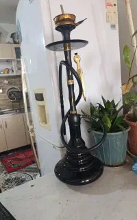 قلیون