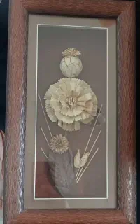 قاب گل زیبا و نو