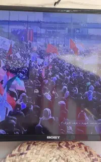 تلوزیون ال ای دی bost