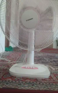 پنکه سانی