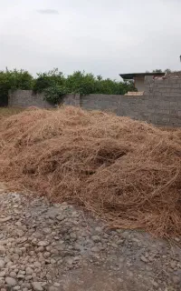 علوفه دام