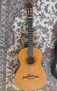 کاملا تمیز وسالم