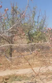 مقنی چاه