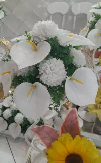 محضرازدواج وطلاق،عقدنامه(صیغه نامه)موقت ودائم،فسخ