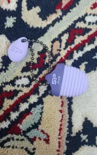 فلش