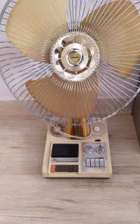 پنکه ژاپن ناسیونال