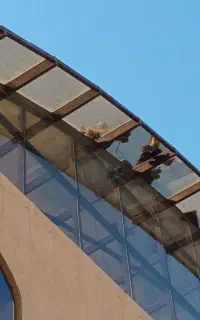 نصاب و طراح انواع سازه های  شیشه ای