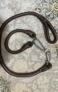 قلاده حیوان نو نو مناسب