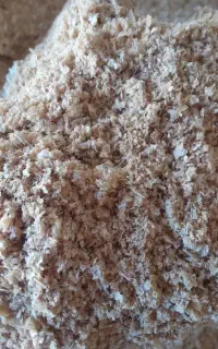 سبوس گندم درجه ۱ زرین خوشه(مخصوص دام)