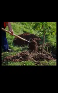 خدمات باغبانی غفاری در خدمت دوستان عزیز