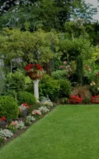 سم پاشی باغ و باغچه و اماکن