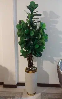 گل و گلدون نو