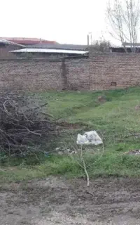 زمین خ ولیعصر۱۹