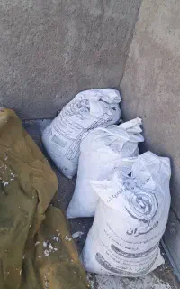 کود کبوتر