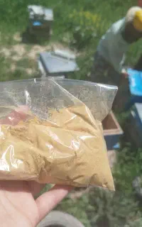 بره موم زنبور درمان مشکلات معده و گوارش