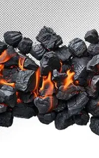 تولید زغال چوب بصورت دستمزدی و اجرتی