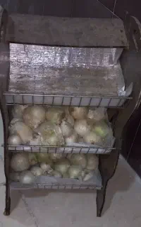 جا پیاز و سیب زمینی