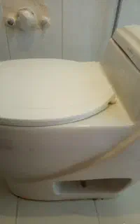 فرنگی دستشویی سلامت