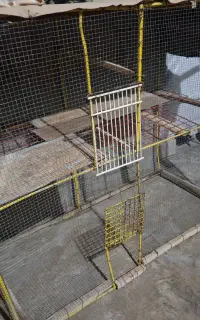 قفس پرنده