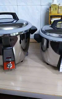 دوعددپلوپز برقی