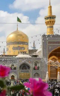 تور مشهد مقدس ولادت امام رضا