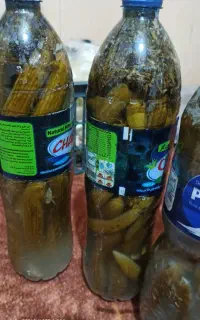خیارشور