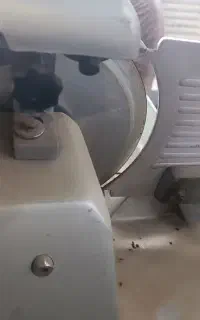 کالباس بر