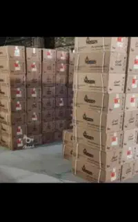 نمایندگی ابگرمکن بوتان