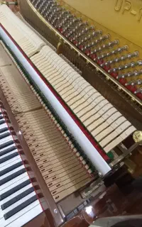 پیانو Mendelssohn مناسب هنرجو تا حرفه ای