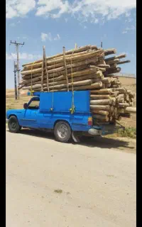 خرید فروش انواع چوب ب صورت نقدی بالایی 500کیلو