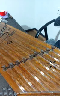 سنتورکلیکسیونی ونفیس و ارزنده استاد داریوش سالاری