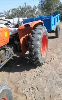 سمپاشی درختان