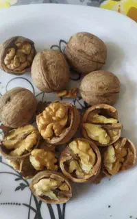 گردو درجه یک