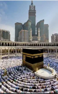 فیش حج عمره. بانک. ملت