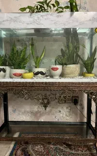 آکواریوم بزرگ با پایه فرفروژه زیبا