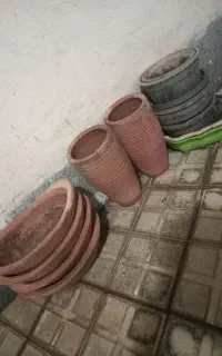 گلدان