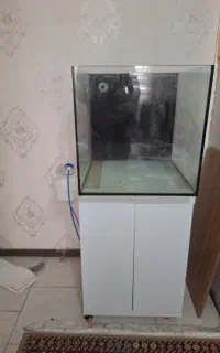 آکواریوم آبشور