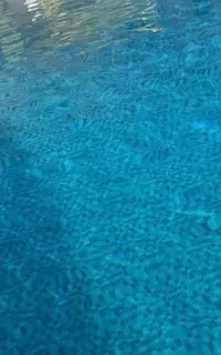آموزش شنا بانوان