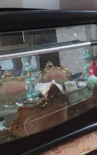 توستر